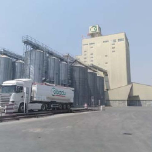 Fábrica de piensos Cobadu – instalaciones industriales