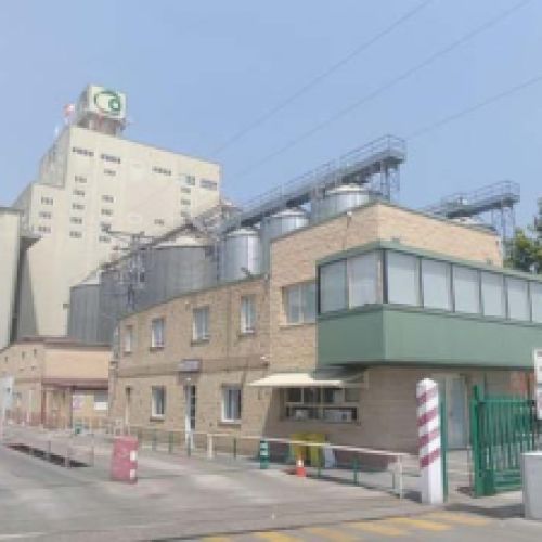Edificios de la fábrica de piensos Cobadu